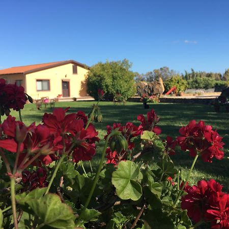 Agriturismo Sechi Campanedda Eksteriør bilde